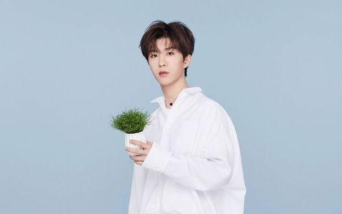 白鹿范丞丞最新爆料视频,娱乐圈幕后真相大曝光