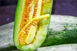 网红在线吃瓜的意义  第2张